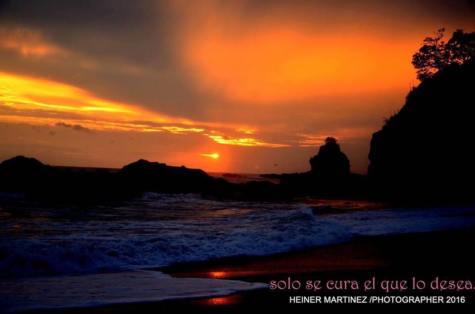 Cabinas Surf Arribadas Ostional Wildlife Refuge 외부 사진