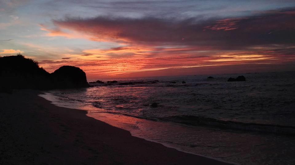 Cabinas Surf Arribadas Ostional Wildlife Refuge 외부 사진